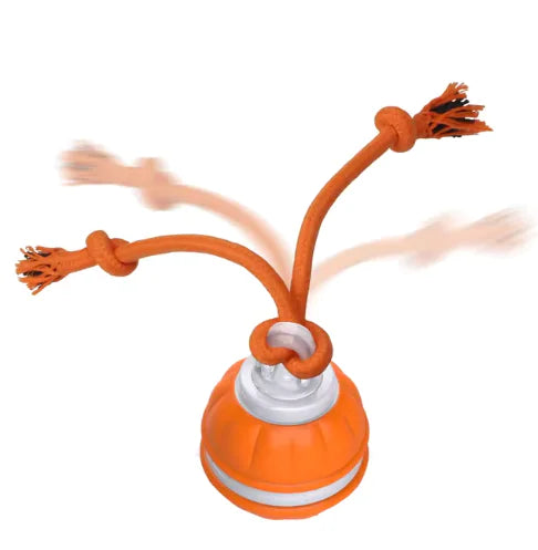 Orange dog toy with multiple ropes on a white background