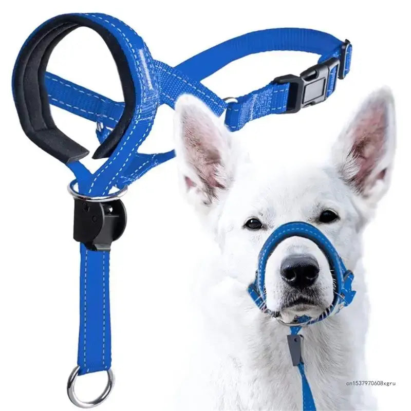 Blue dog muzzle and harness on a white background