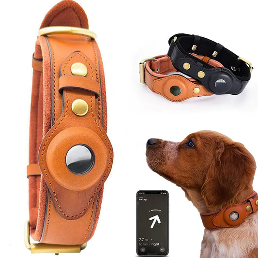 Brown leather dog collar with gold hardware, black leather collar, and a dog wearing the brown collar.
